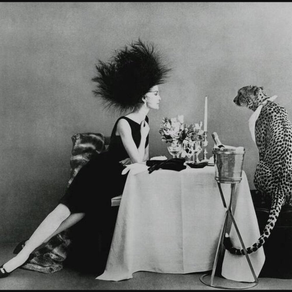 A Model With A Cheetah Art Print 8 X 7.5